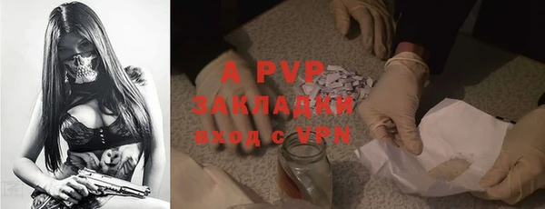 хмурый Вяземский