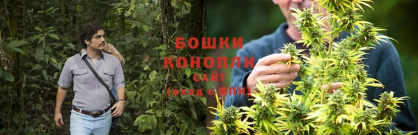 хмурый Вяземский