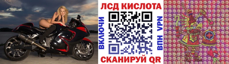 OMG ССЫЛКА  Каргополь  Марки NBOMe 1,8мг 
