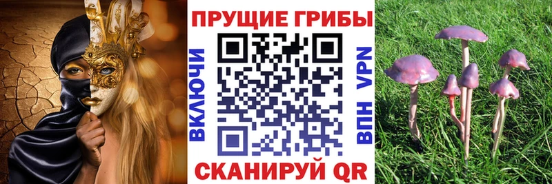 Галлюциногенные грибы мухоморы  цены   Каргополь 